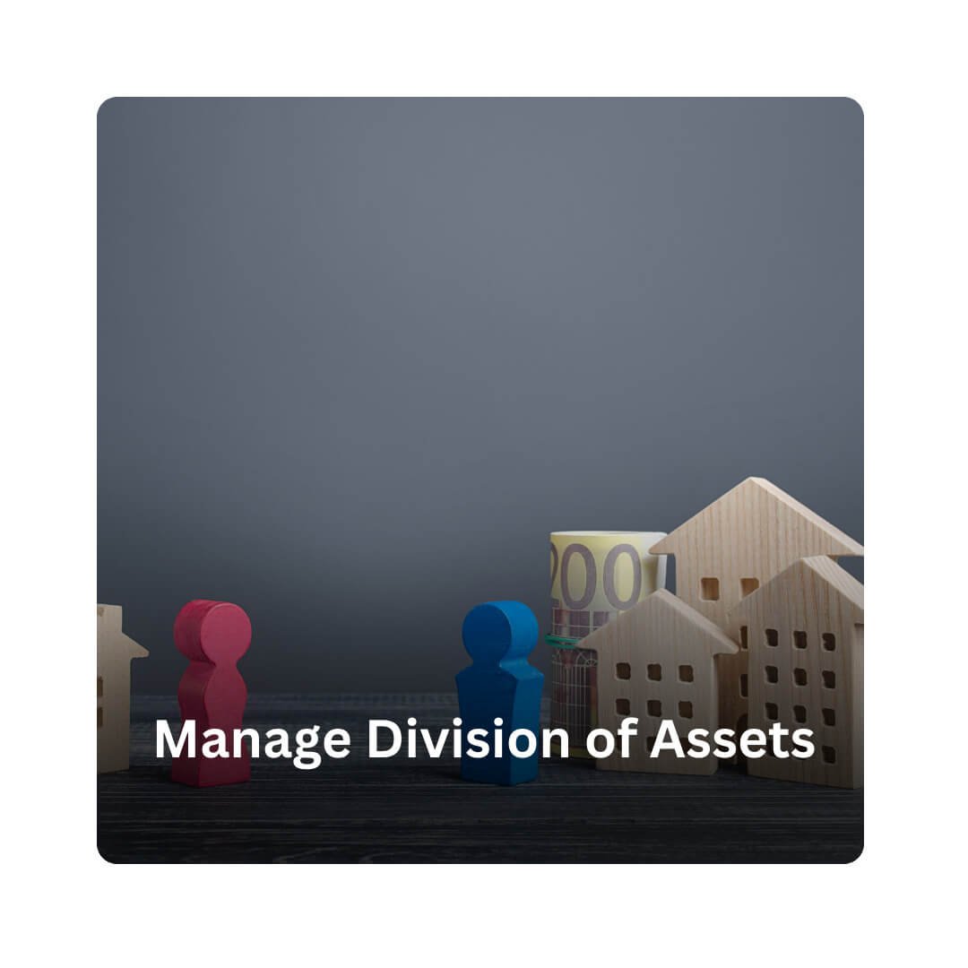 manage division assets