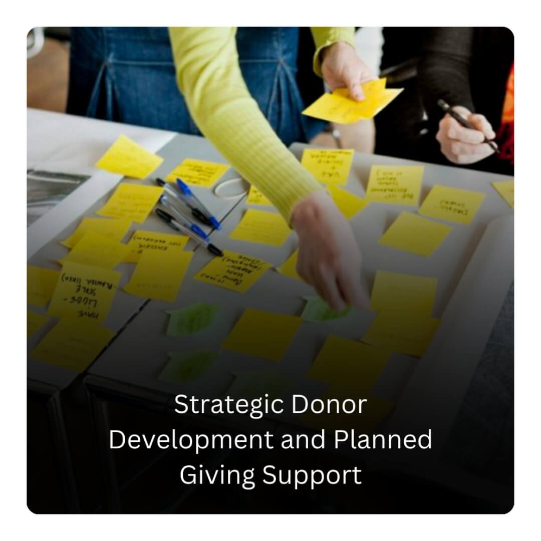 strategic donor development